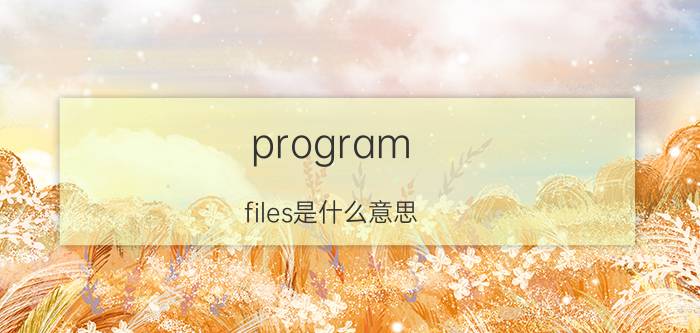 program files是什么意思